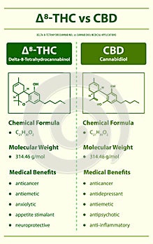 Ã¢Ëâ 8-THC vs CBD , Delta 8 Tetrahydrocannabinol vs Cannabidiol vertical infographic photo